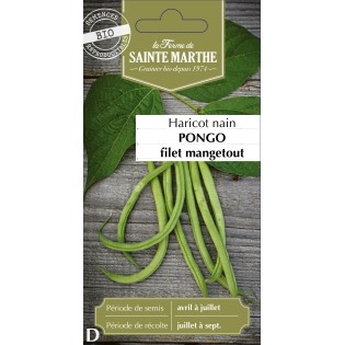 HARICOT NAIN FILET PONGO BIO