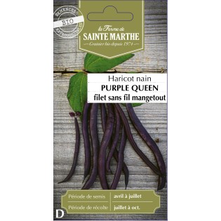 HARICOT NAIN MANGETOUT PURPLE QUEEN BIO