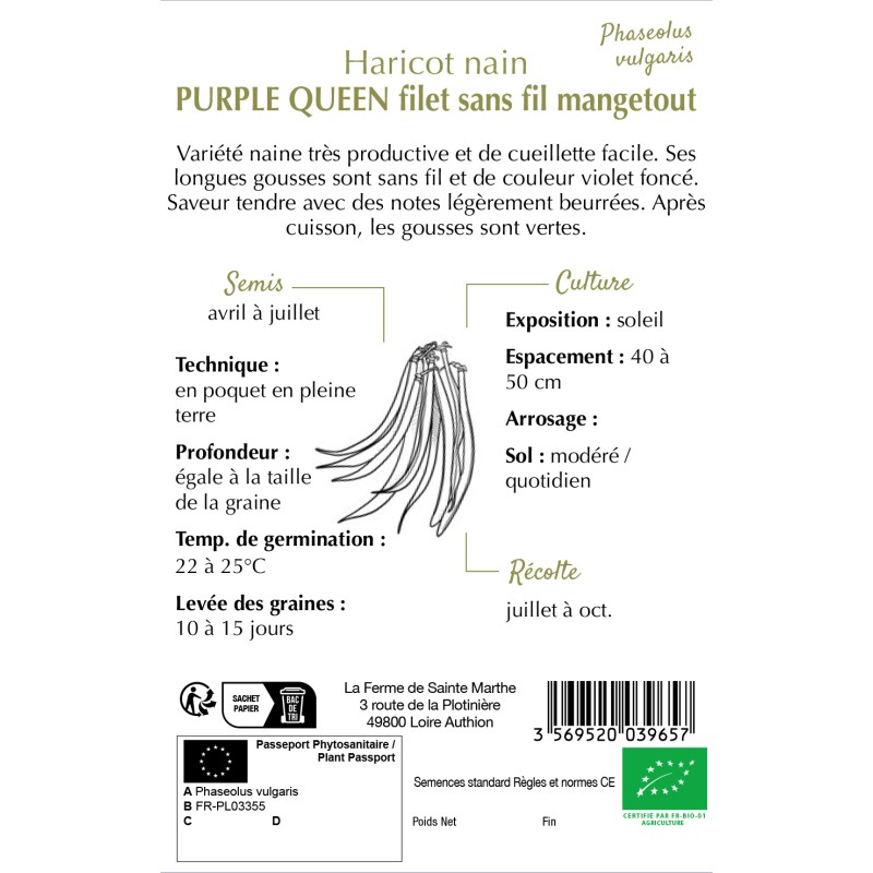 HARICOT NAIN MANGETOUT PURPLE QUEEN BIO