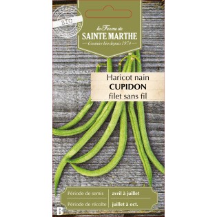 HARICOT NAIN FILET CUPIDON BIO SCH 10G