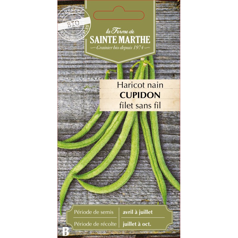 HARICOT NAIN FILET CUPIDON BIO SCH 10G