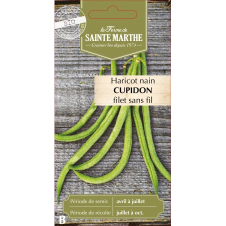 HARICOT NAIN FILET CUPIDON BIO SCH 10G