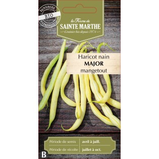 HARICOT NAIN BEURRE MAJOR BIO SCH 10G