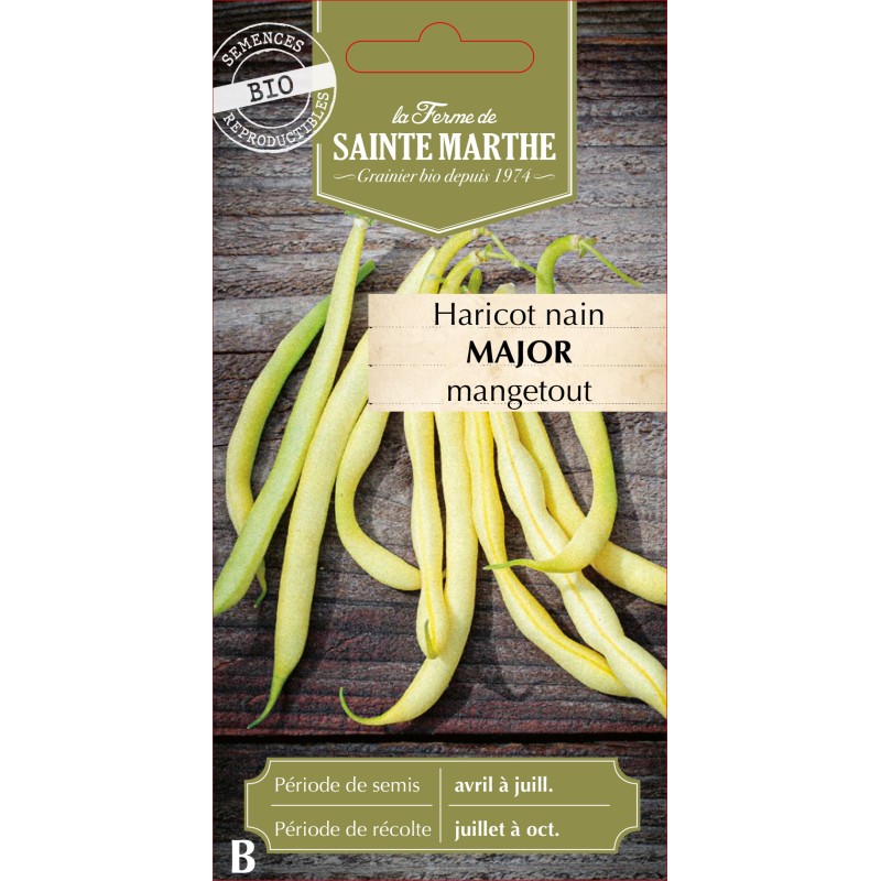 HARICOT NAIN BEURRE MAJOR BIO SCH 10G