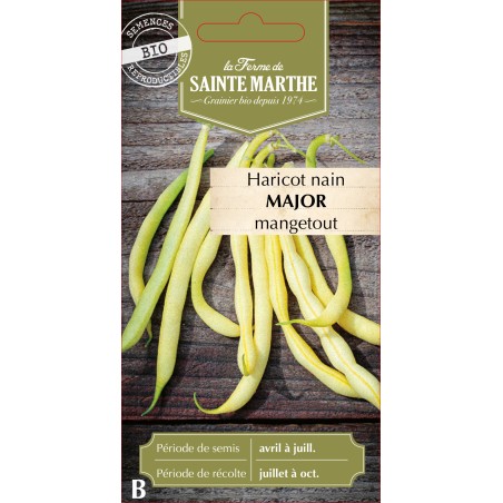HARICOT NAIN BEURRE MAJOR BIO SCH 10G
