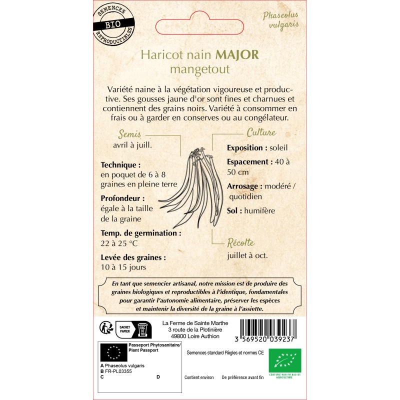 HARICOT NAIN BEURRE MAJOR BIO SCH 10G