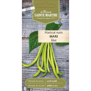 HARICOT NAIN FILET MAXI BIO SCH 10G