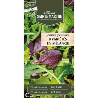 JEUNES POUSSES EN MELANGE BIO