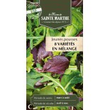 JEUNES POUSSES EN MELANGE BIO