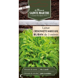 RUBAN LAITUE CRESSONETTE MAROCAINE BIO