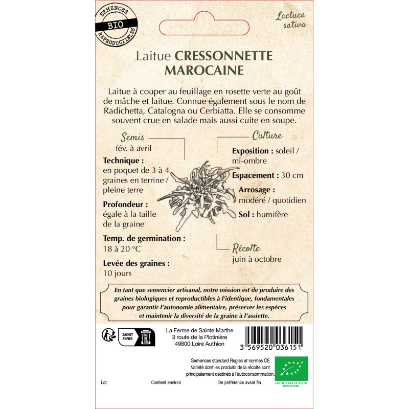 LAITUE CRESSONNETTE MAROCAINE BIO