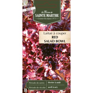 LAITUE A COUPER RED SALAD BOWL BIO