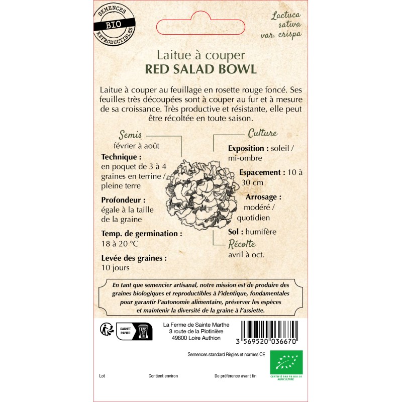 LAITUE A COUPER RED SALAD BOWL BIO