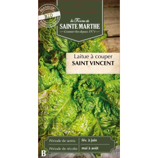 LAITUE SAINT VINCENT BIO