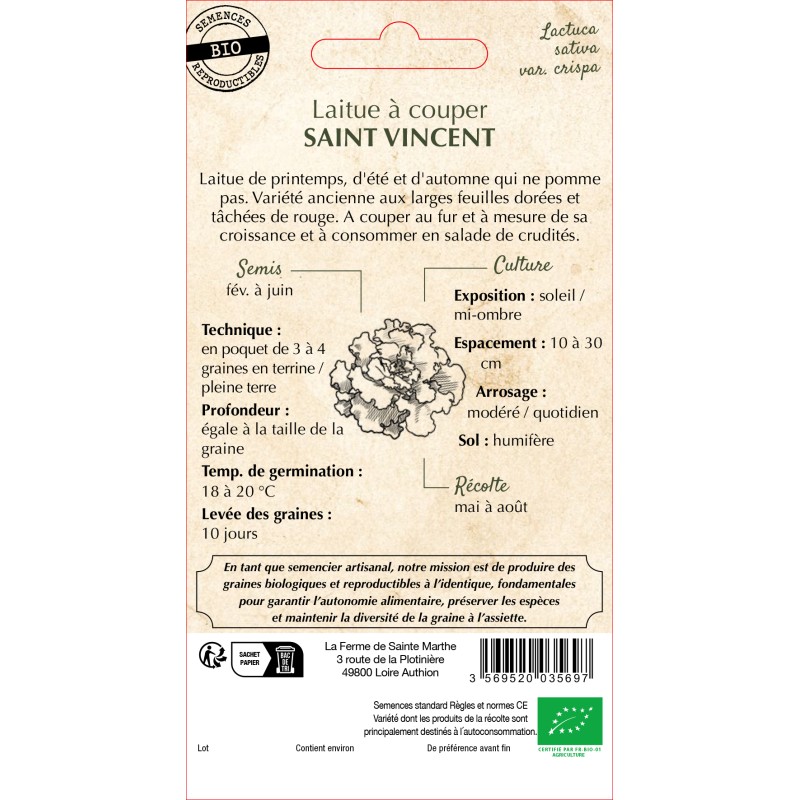 LAITUE SAINT VINCENT BIO