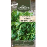 LAITUE BATAVIA REINE DES GLACES BIO