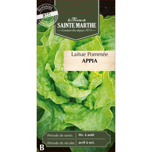 LAITUE POMMEE APPIA BIO