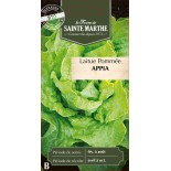 LAITUE POMMEE APPIA BIO