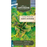 LAITUE POMMEE SAINT ANTOINE BIO