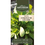 MACHE COQUILLE DE LOUVIERS BIO