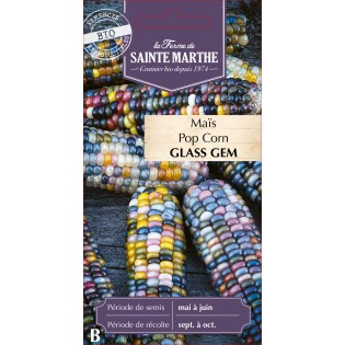MAIS POP CORN GLASS GEM BIO