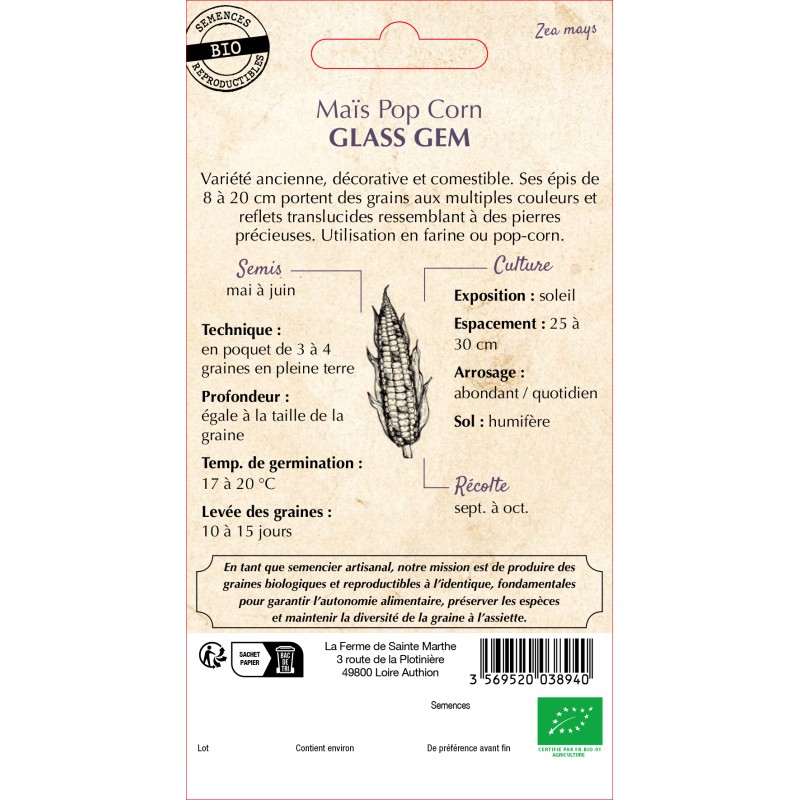 MAIS POP CORN GLASS GEM BIO