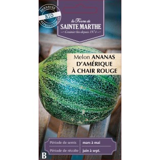 MELON ANANAS D'AMERIQUE CHAIR BIO