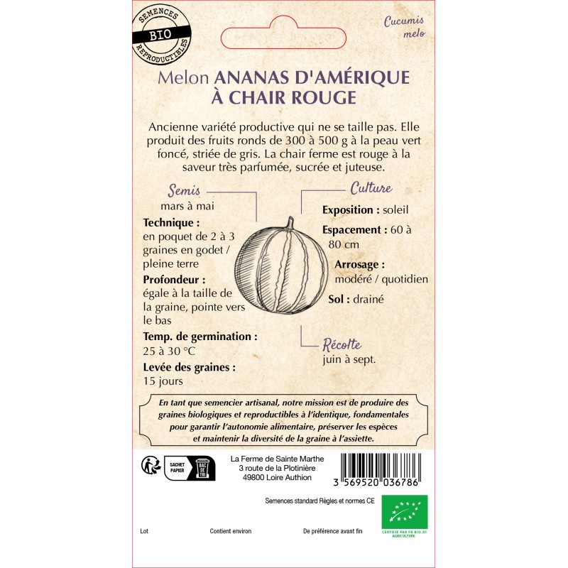 MELON ANANAS D'AMERIQUE CHAIR BIO