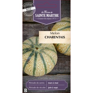 MELON CHARENTAIS BIO