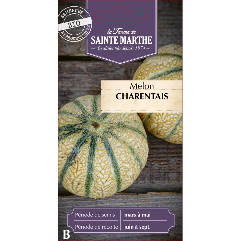 MELON CHARENTAIS BIO