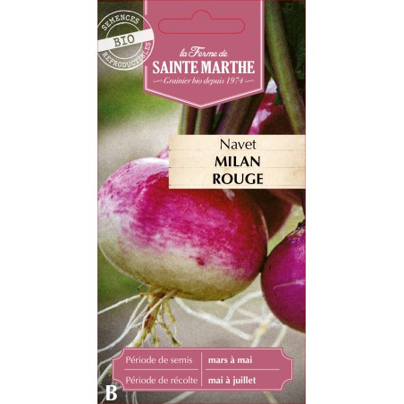 NAVET MILAN ROUGE BIO