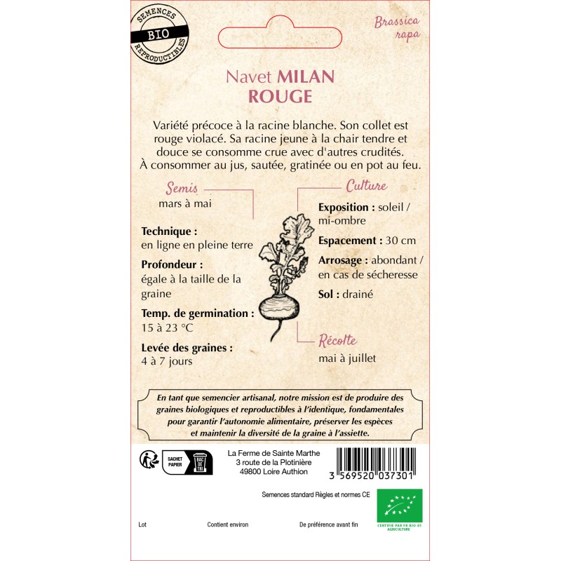 NAVET MILAN ROUGE BIO