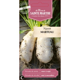NAVET MARTEAU BIO
