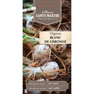 OIGNON BLANC DE LISBONNE BIO