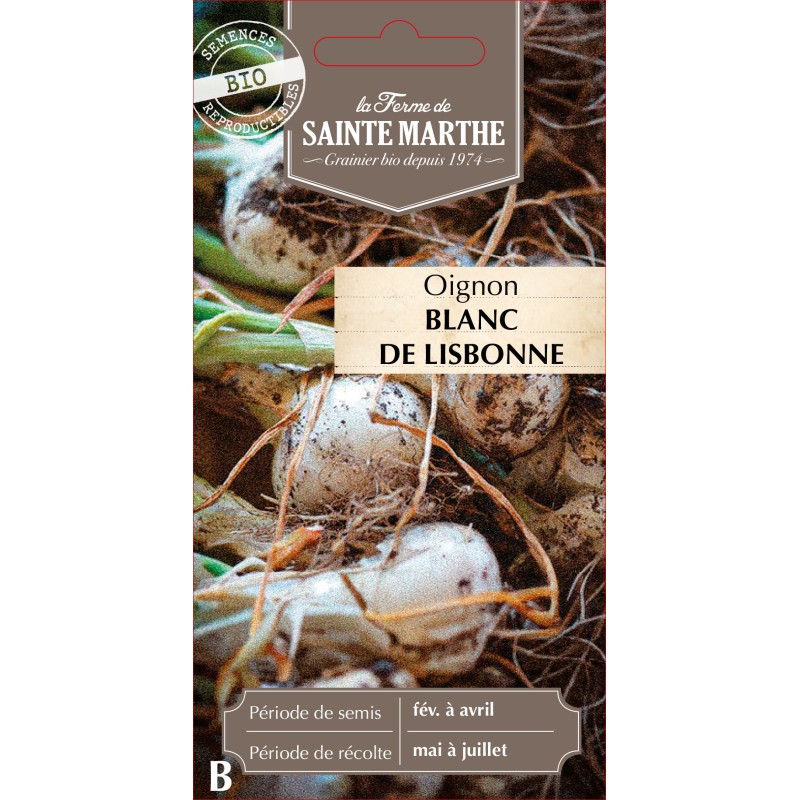 OIGNON BLANC DE LISBONNE BIO