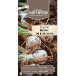 OIGNON BLANC DE LISBONNE BIO
