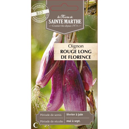 OIGNON ROUGE LONG DE FLORENCE BIO