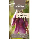 OIGNON ROUGE LONG DE FLORENCE BIO