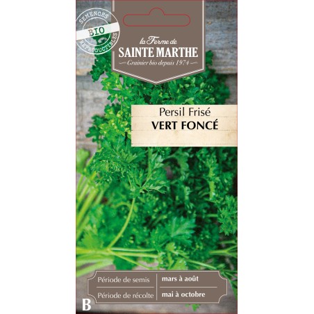 PERSIL FRISE VERT FONCE BIO