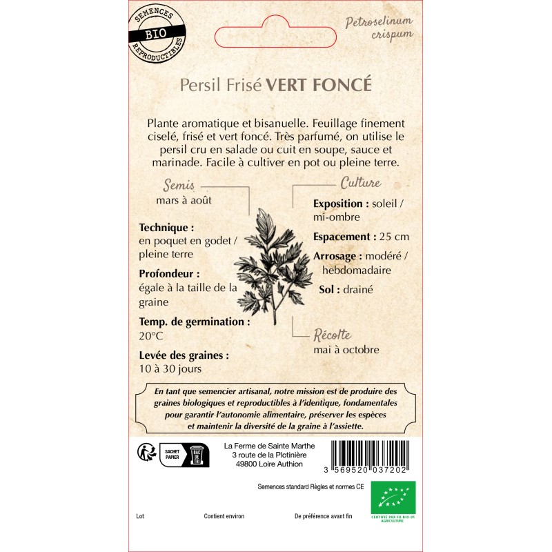 PERSIL FRISE VERT FONCE BIO