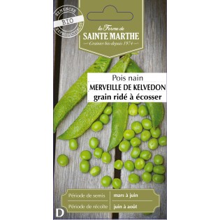 POIS NAIN MERVEILLE DE KELVEDON BIO 80G