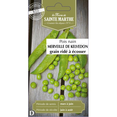 POIS NAIN MERVEILLE DE KELVEDON BIO 80G