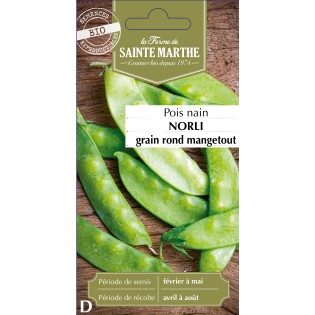 POIS NAIN MANGETOUT NORLI BIO