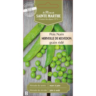 POIS NAIN MERVEILLE DE KELVEDON BIO SCH 10G