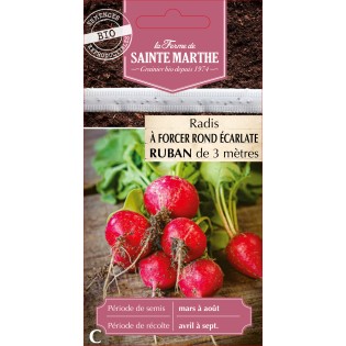 RUBAN RADIS ROND ECARLATE A FO BIO