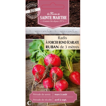 RUBAN RADIS ROND ECARLATE A FO BIO