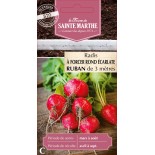 RUBAN RADIS ROND ECARLATE A FO BIO