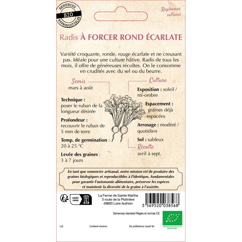RUBAN RADIS ROND ECARLATE A FO BIO