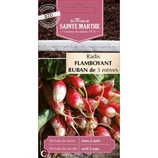 RUBAN RADIS FLAMBOYANT RACE PATRICIA BIO