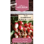 RUBAN RADIS FLAMBOYANT RACE PATRICIA BIO